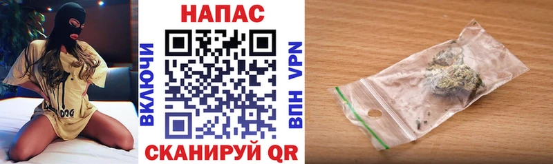 Каннабис сатива  Купить где  Гусев 